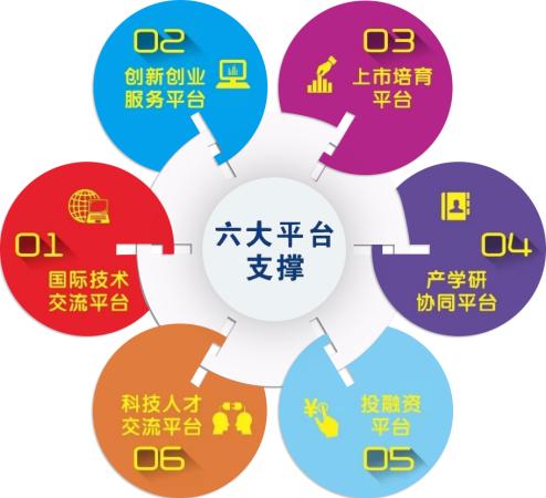 廣州琶洲 數字經濟核心區的網絡技術服務答卷